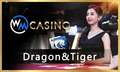 Bingoplus Slot Games